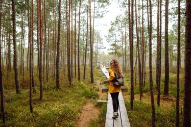 Les Landes et sa beauté naturelle