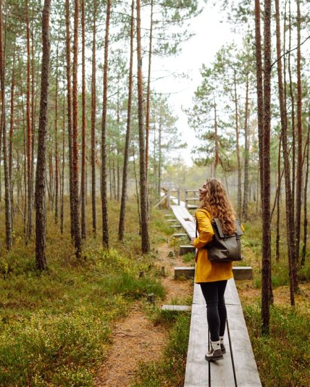 Les Landes et sa beauté naturelle