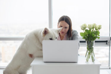 animalerie en ligne