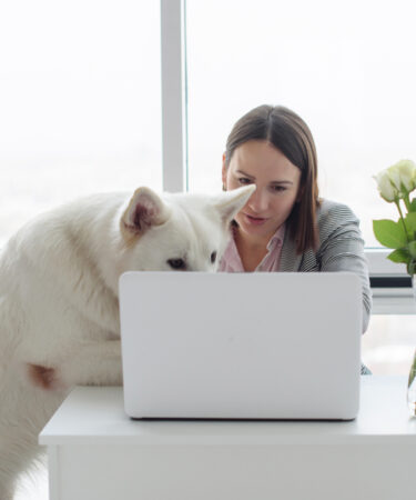 animalerie en ligne