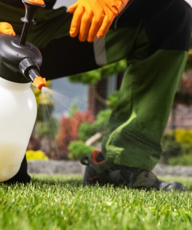 Dosage du glyphosate