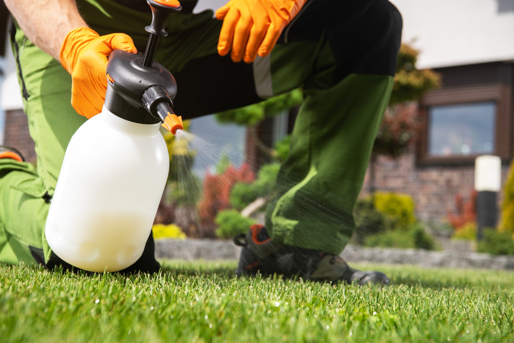Dosage du glyphosate