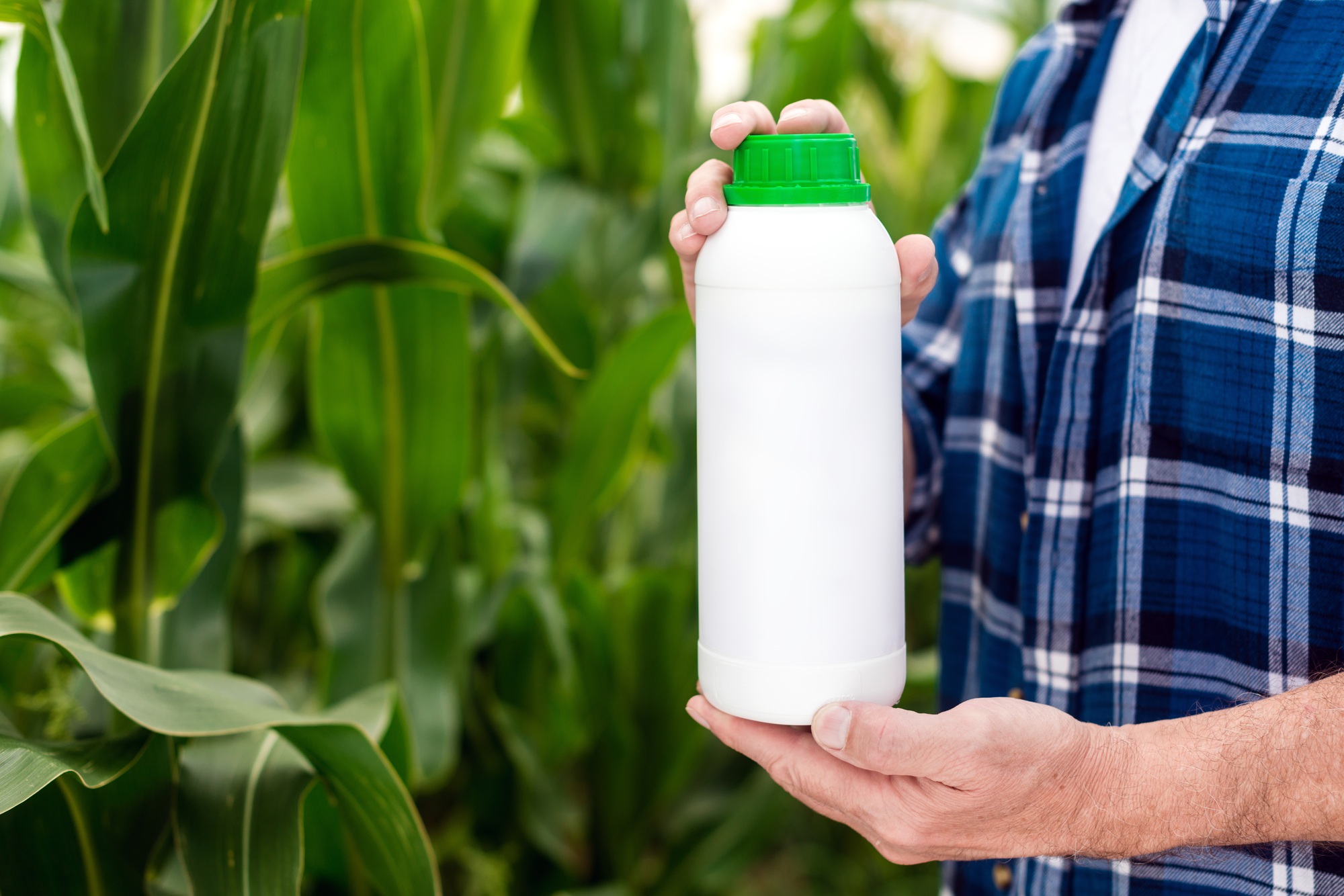 glyphosate