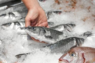 poisson congelé