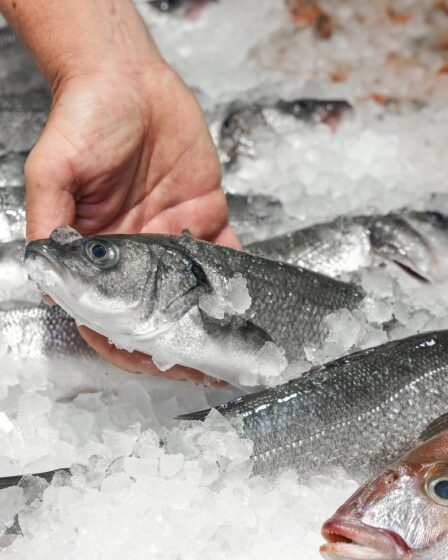 poisson congelé