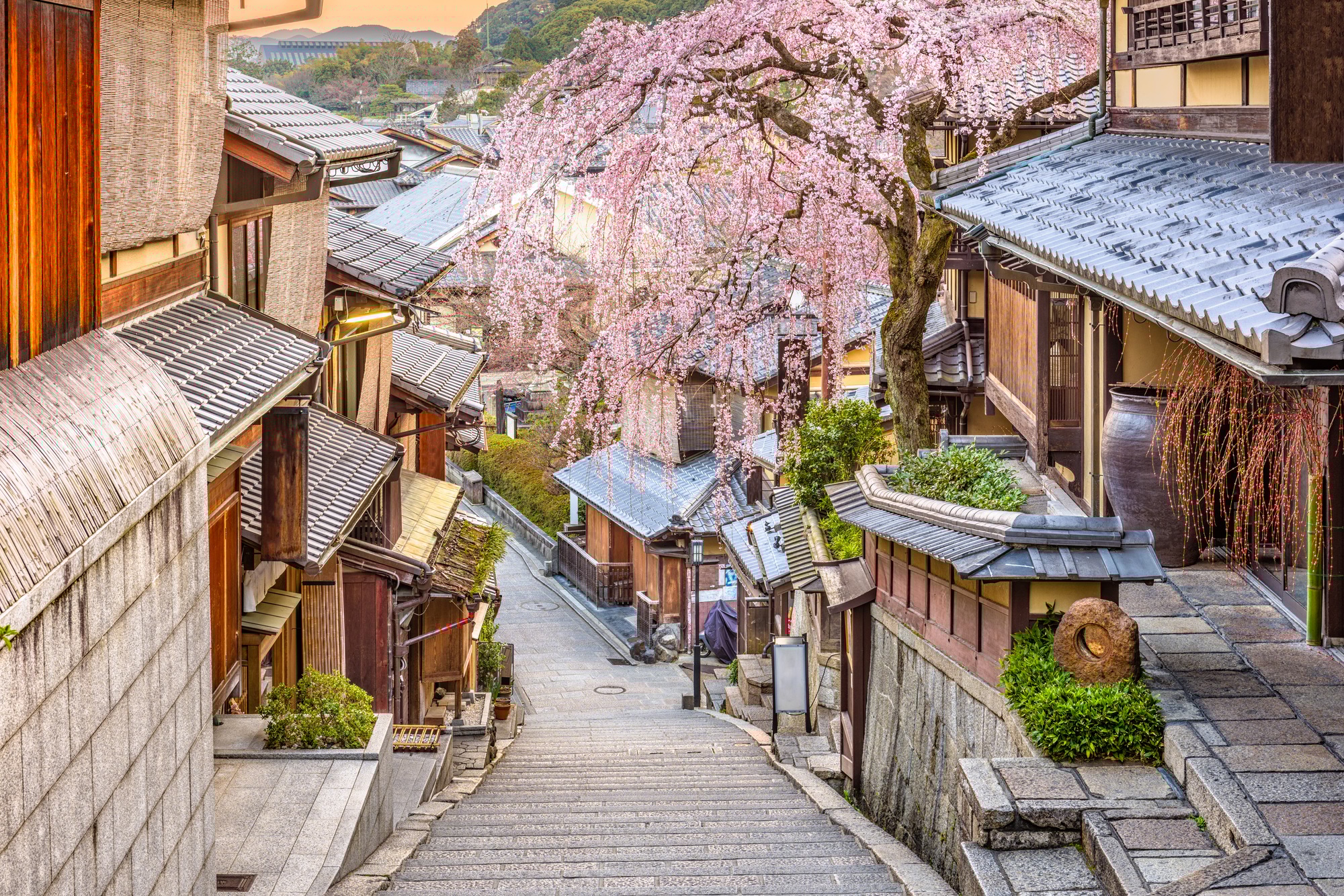 Kyoto Japon