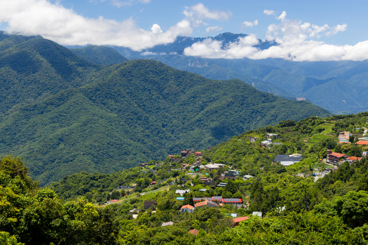 minco en colombie