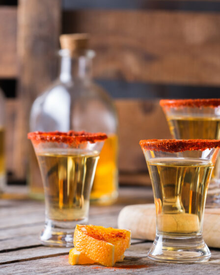dégustation mezcal