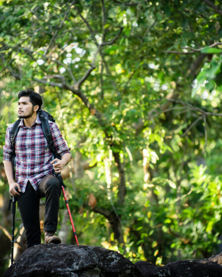 parc de Mgahinga