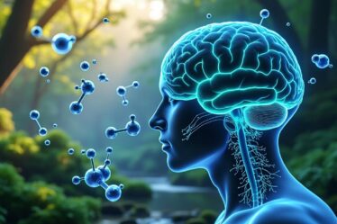 découvrez comment les neurotransmetteurs gaba influencent notre humeur et contribuent à la santé mentale en régulant le stress et l'anxiété.