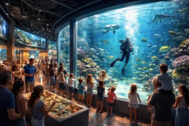 découvrez les événements incontournables à l'aquarium de houlgate cette saison : animations, visites spéciales et activités pour toute la famille vous attendent.