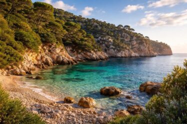 découvrez les merveilles naturelles uniques situées à la latitude 43.6502211 et longitude 3.374165, un lieu où la beauté et la diversité de la nature se dévoilent.