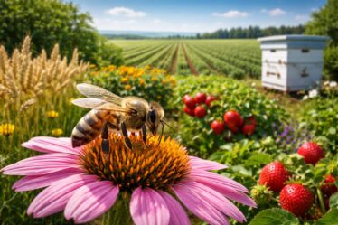 découvrez pourquoi la définition de l'abeille est cruciale dans l'agriculture moderne, en explorant les enjeux écologiques et les défis pour la pollinisation et la biodiversité.