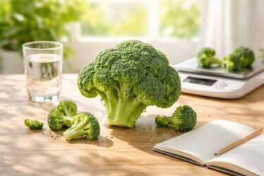 découvrez les bienfaits du brocoli, le dosage optimal à respecter et les précautions à prendre pour profiter pleinement de ses vertus santé.