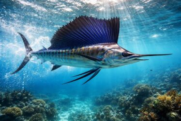 découvrez comment le poisson le plus rapide au monde inspire les biologistes grâce à ses performances remarquables et ses adaptations uniques.