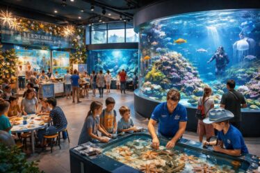 découvrez les événements spéciaux organisés à l'aquarium de deauville cette année : expositions, animations et activités pour toute la famille.