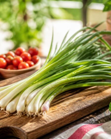découvrez les cives, herbes aromatiques au goût doux, parfaites pour rehausser la saveur de vos plats d'été avec une touche fraîche et légère.